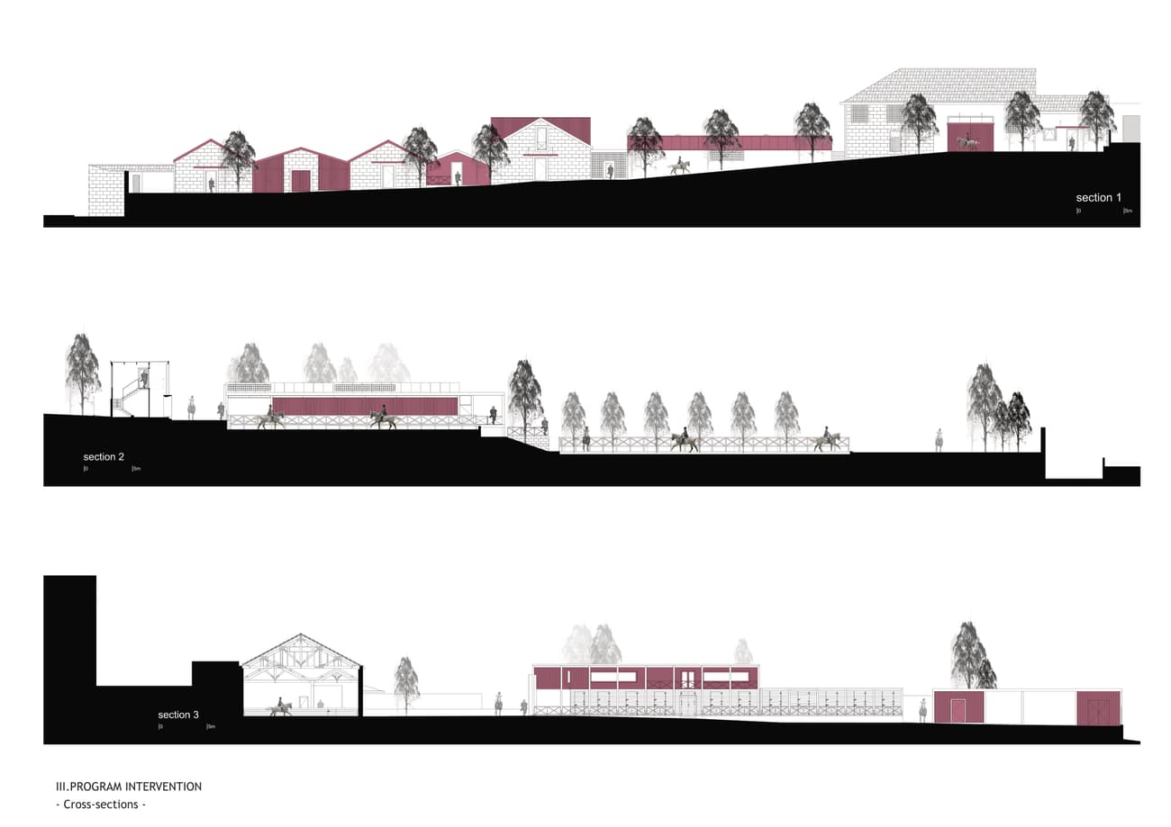 Architectural project - Design