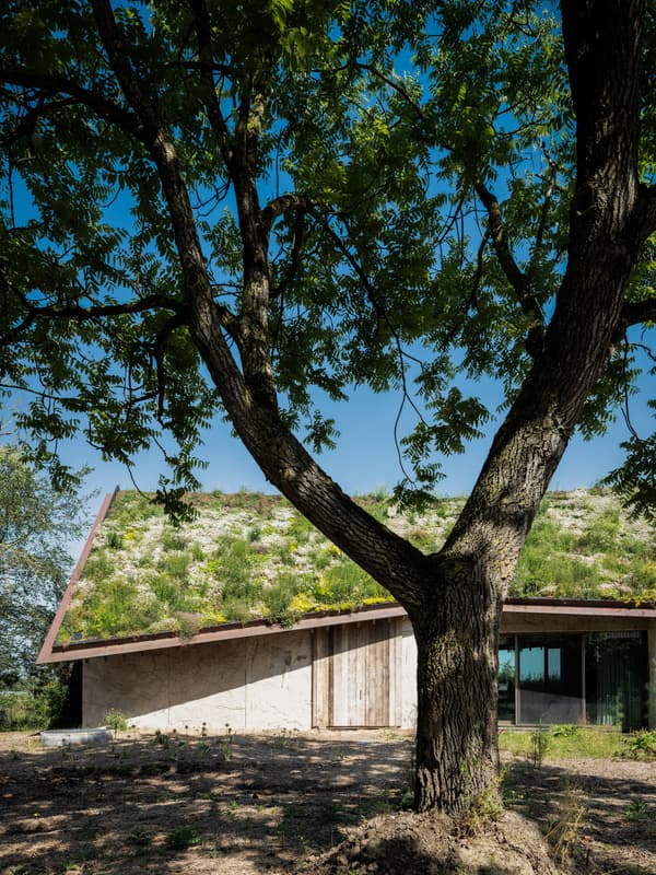 Architectural project - Design
