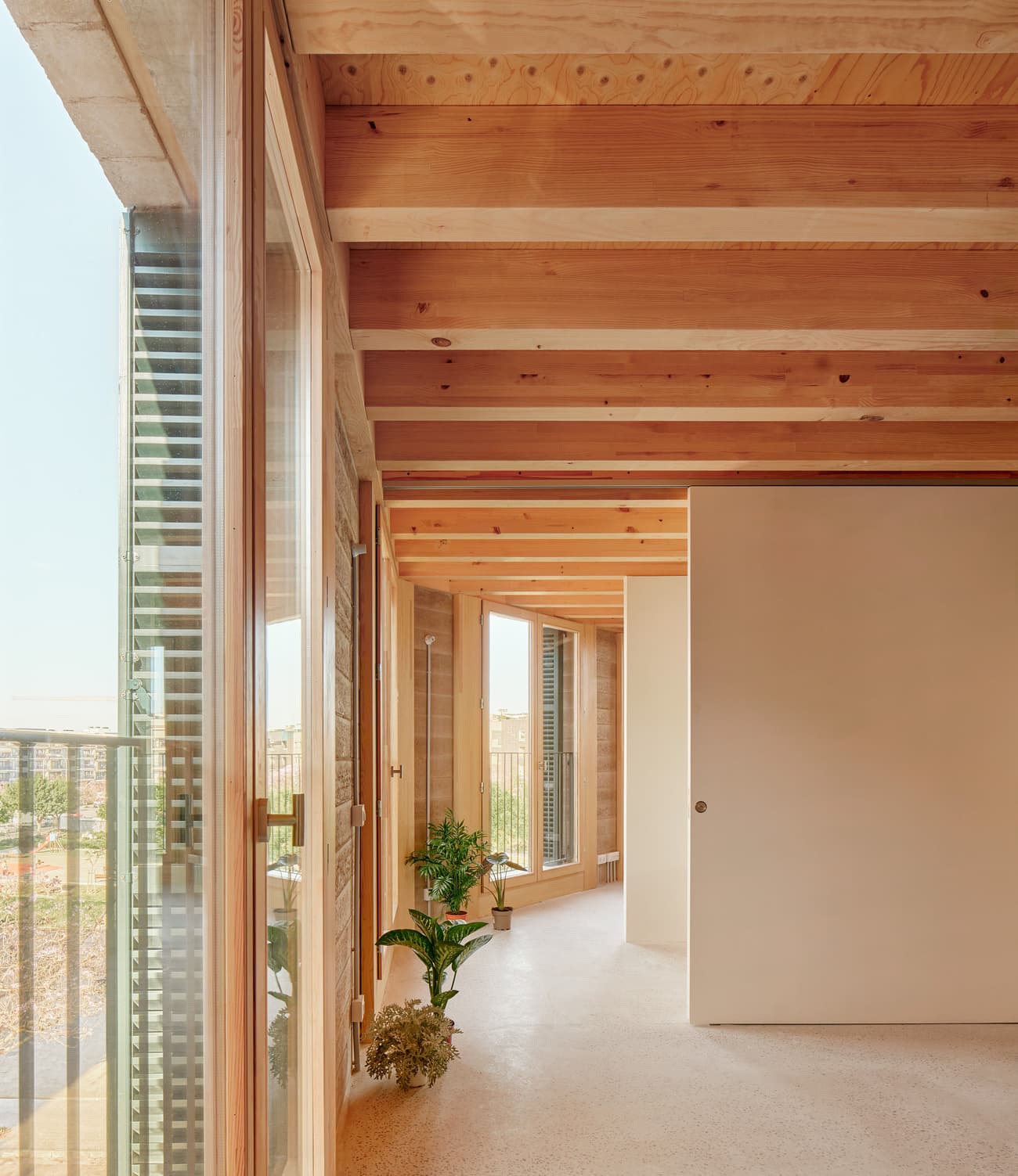 Architectural project - floor to ceiling windows, interior plants, indoor greenery, open ceiling, bright corridor, passageway, warm vibes, cozy interior, warm interior, sustainable materials, wood, timber, natural light, sustainable design, warm tones, natural tones, renewable materials, exposed beams, ventilation, daylight, beige, brown, light wood, natural wood, low carbon design, wooden beams, simple design, honey wood, rustic modern, neutral palette, wood construction, timber building, circular construction, modern rustic, biophilic design, eco home, passive house, contemporary home, clean lines, indoor outdoor, timber cladding, eco friendly home, Nordic style, textured wall, plaster wall, airy space, open plan, residential design, Scandinavian design, minimalist aesthetic, wood ceiling, hallway