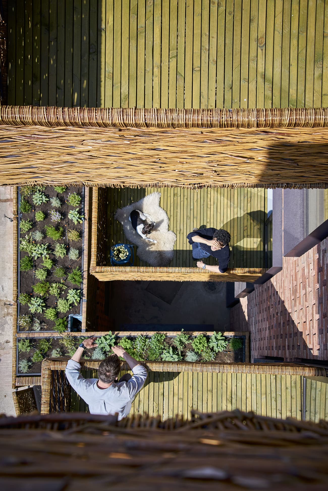 Architectural project - natural materials, eco-friendly design, timber, outdoor space, natural light, warm tones, green, daylight, beige, brown, natural textures, organic design, eco materials, relaxed atmosphere, exterior, outdoor seating, earth tones, biophilic design, garden design, brick, nature connection, relaxing space, cozy corner, fresh air, outdoor retreat, green materials, urban garden, sustainable living, architectural feature, brick texture, woven terrace, outdoor terrace, green terrace, eco terrace, sustainable terrace, woven flooring, woven walls, urban gardening, informal seating, wicker style, wicker texture, basketweave pattern, line of sight, vertical garden, plant wall, green wall, outdoor vibes, communal space, socializing area, beige palette, green plants, bamboo touch, rattan influence, modern outdoor, breathable spaces, environment friendly, backyard vibes, clay bricks, plant-filled space, wicker