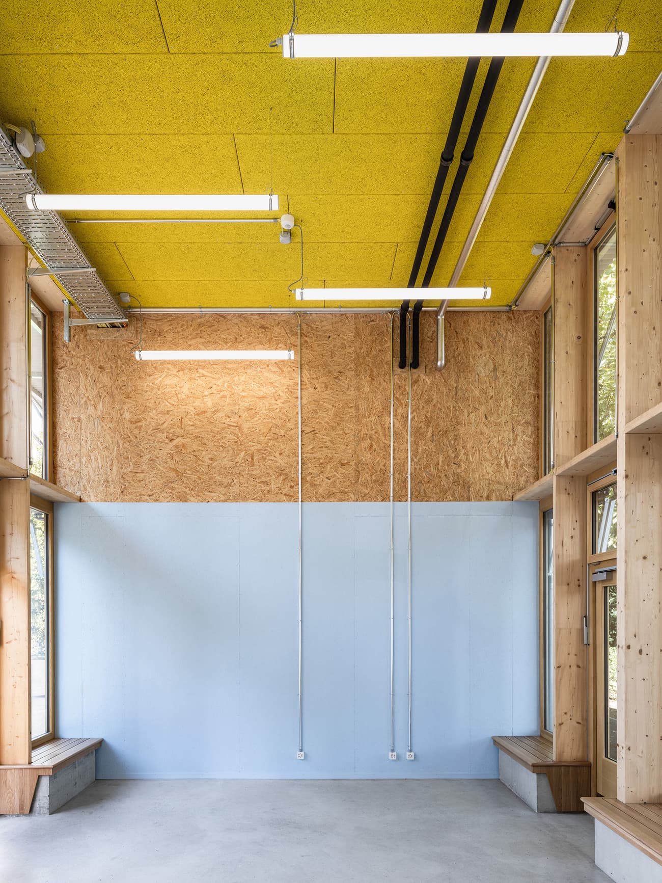 Architectural project - raw finishes, vertical lines, public interior, OSB board, exposed lighting, fluorescent lights, minimal style, tall walls, windows, creativity hub, social spot, neutral floor, vibrant accents, blue wall, yellow ceiling, OSB, cool tones, natural materials, architectural detail, timber, natural light, sustainable design, yellow, community space, neutral tones, exposed beams, timber structure, daylight, plywood, industrial vibe, concrete, blue, eco friendly, modern design, Scandinavian influence, gathering area, flexible use, wood panels, wood walls, open layout, bright space, concrete floor, plywood interior, high ceiling, pop of color